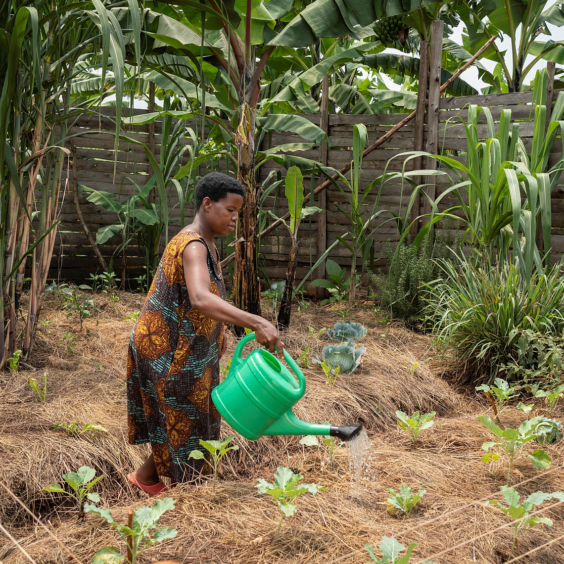 Joy Kamusiime (38), bewässert den Gemüsegarten ihres Hauses im Dorf Kikunda 1 im Distrikt Rwampara in Uganda.