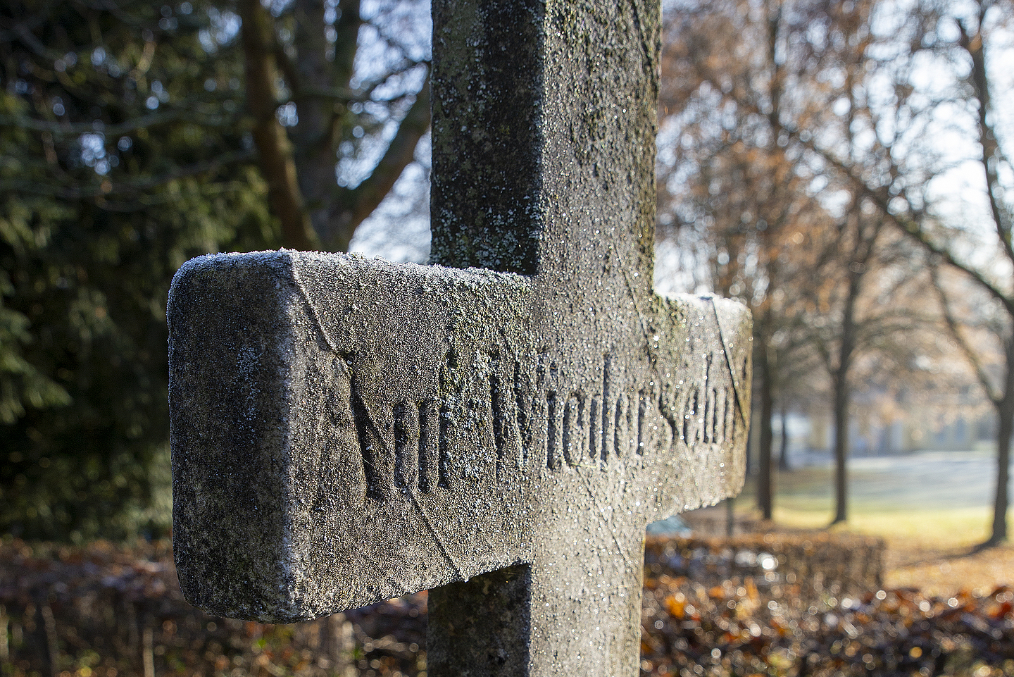 Winterliche Stimmung am Schloss Wihelmsthal Stimmungsbild im Park von Schloss Wilhelmsthal unweit von Kassel.