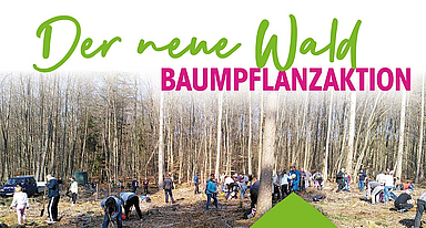 Poster_DIN_A1_Waldpreis_alle_Bewerbungen_KK1.indd