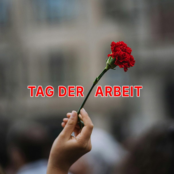 Unser Foto zeigt eine Person, die eine rote Nelke hochhält. Die rote Nelke gilt als Symbol der Arbeiterbewegung. In der Geschichte wurden Demonstrationen am 1. Mai häufig gewaltsam unterbunden, Fahnen oder Plakate waren verboten. Deshalb trugen viele Protestierende eine rote Nelke im Knopfloch. So konnten sie ihre Verbundenheit zeigen und Gleichgesinnte erkennen.