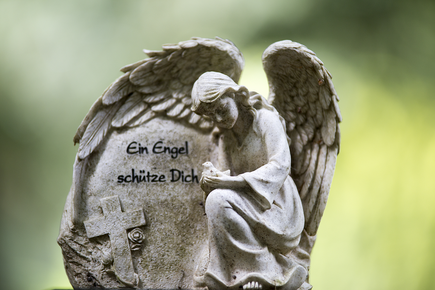 Eindrücke vom Hauptfriedhof Kassel Engelsdarstellung auf dem Hauptfriedhof in Kassels.