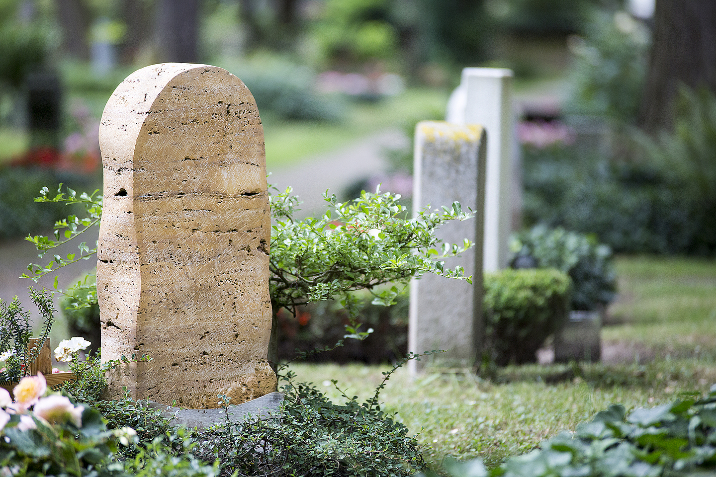 Eindrücke vom Hauptfriedhof Kassel Grabmale auf dem Kasseler Hauptfriedhof.