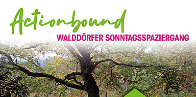 Poster_DIN_A1_Waldpreis_alle_Bewerbungen_KK1_03112022.indd