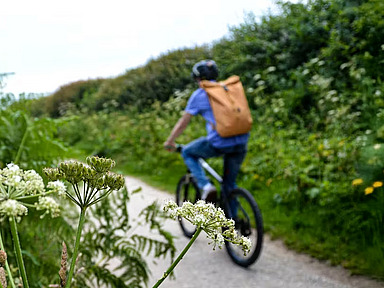 Ein Radfahrer fährt durch die Natur Ein Radfahrer fährt durch die Natur