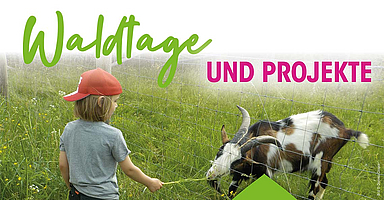 Poster_DIN_A1_Waldpreis_alle_Bewerbungen_KK1.indd