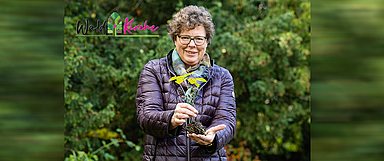 Baumpflanzaktion 750.000 neue Bäume EKKW Bischöfin Dr. Beate Hofmann wirbt für eine nachhaltige Waldkirche, für eine Kirche, «die so lebt und arbeitet, dass die Bedürfnisse und Lebensgrundlagen der nachfolgenden Generation nicht gefährdet werden». (Foto: medio.tv/Schauderna)