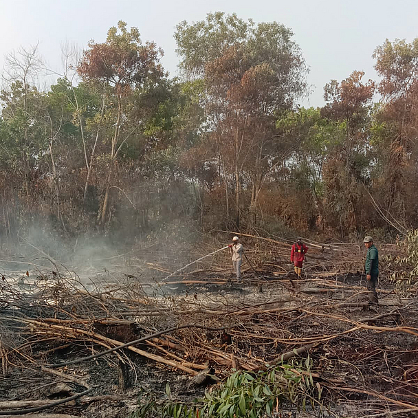 Das Foto zeigt die Situation im Waldbrandgebiet in Indonesien. Das Foto zeigt die Situation im Waldbrandgebiet in Indonesien.