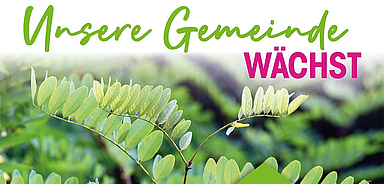 Poster_DIN_A1_Waldpreis_alle_Bewerbungen_KK1.indd