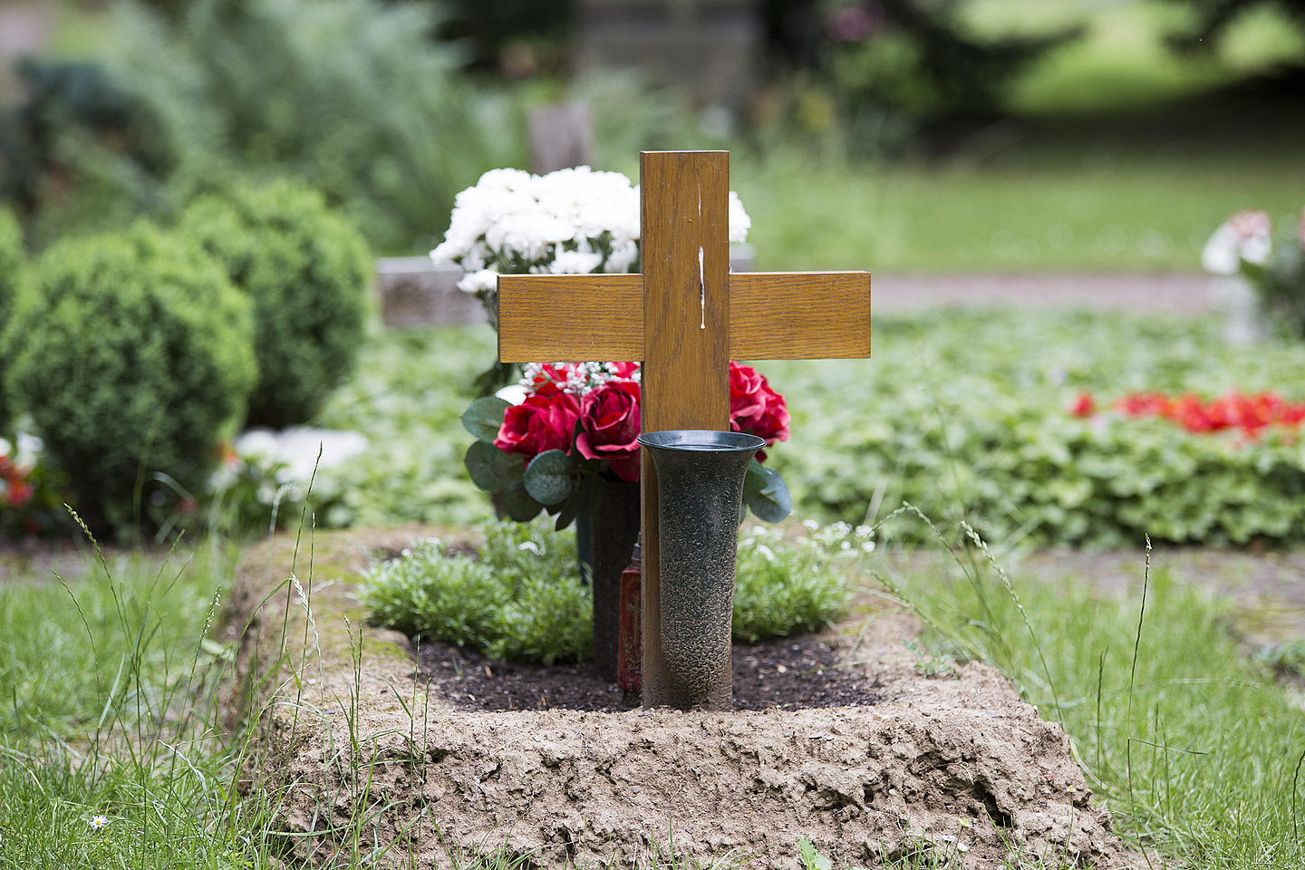 Eindrücke vom Hauptfriedhof Kassel Grabstätte auf dem Kasseler Hauptfriedhof.