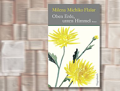 Cover des Buches "Oben Erde, unten Himmel" von Milena Michiko Flašar