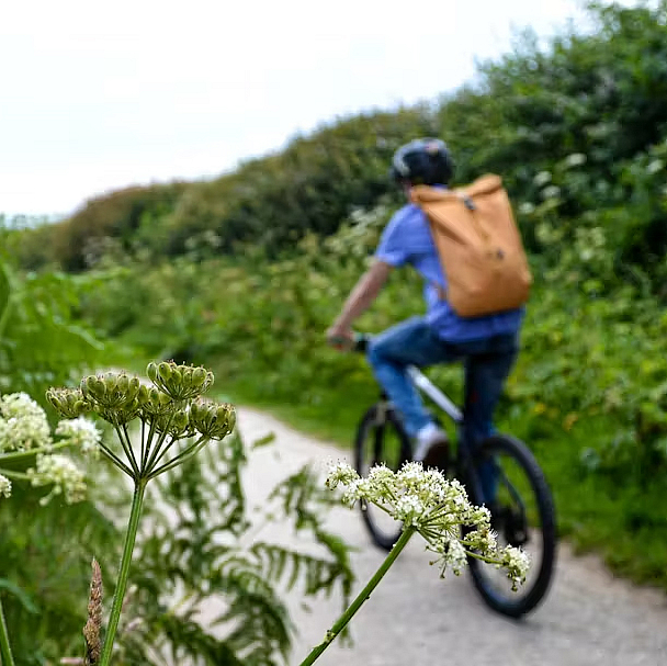 Ein Radfahrer fährt durch die Natur Ein Radfahrer fährt durch die Natur