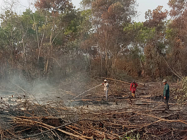 Das Foto zeigt die Situation im Waldbrandgebiet in Indonesien. Das Foto zeigt die Situation im Waldbrandgebiet in Indonesien.