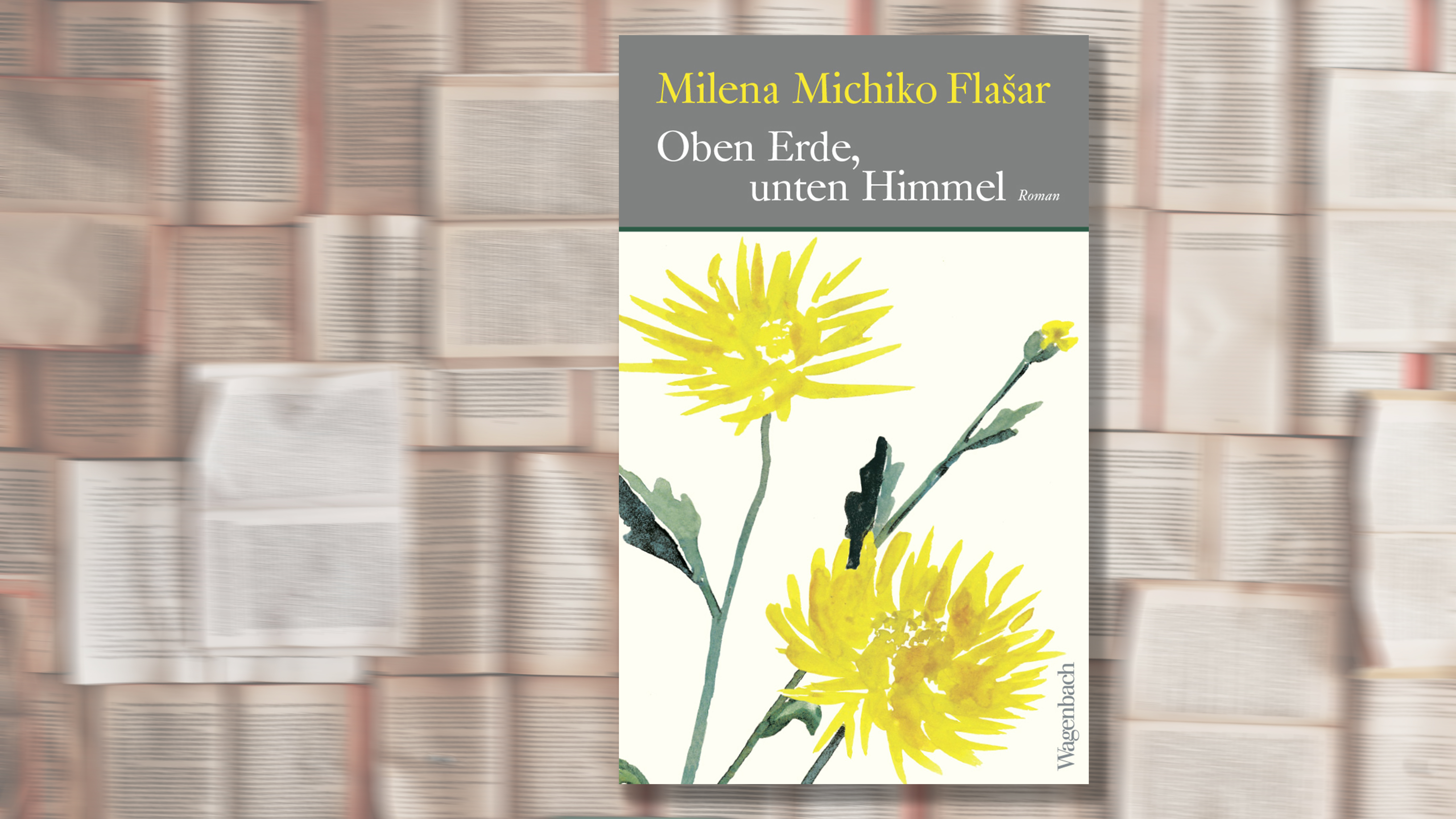 Cover des Buches "Oben Erde, unten Himmel" von Milena Michiko Flašar